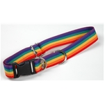  Rainbow Large Dog Collar
